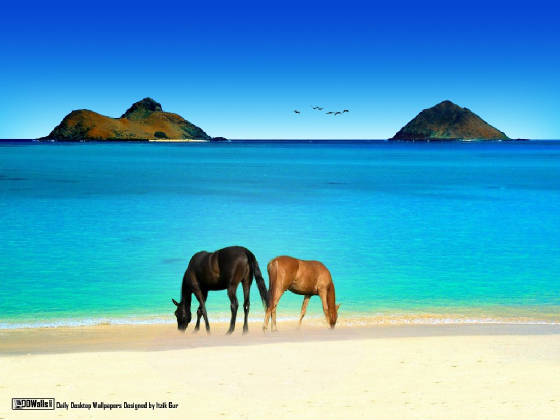nature-new109.jpg