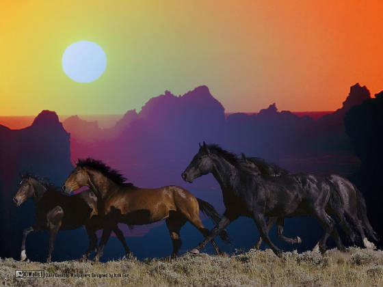 nature6__64_.jpg